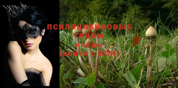 кокс Белоозёрский