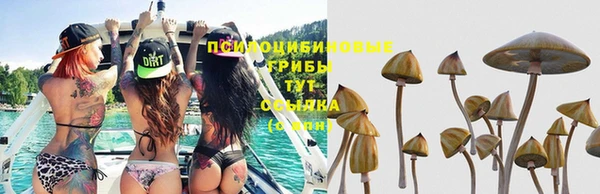 прущие крисы Богородск