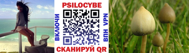 наркота  Очёр  Псилоцибиновые грибы мицелий 